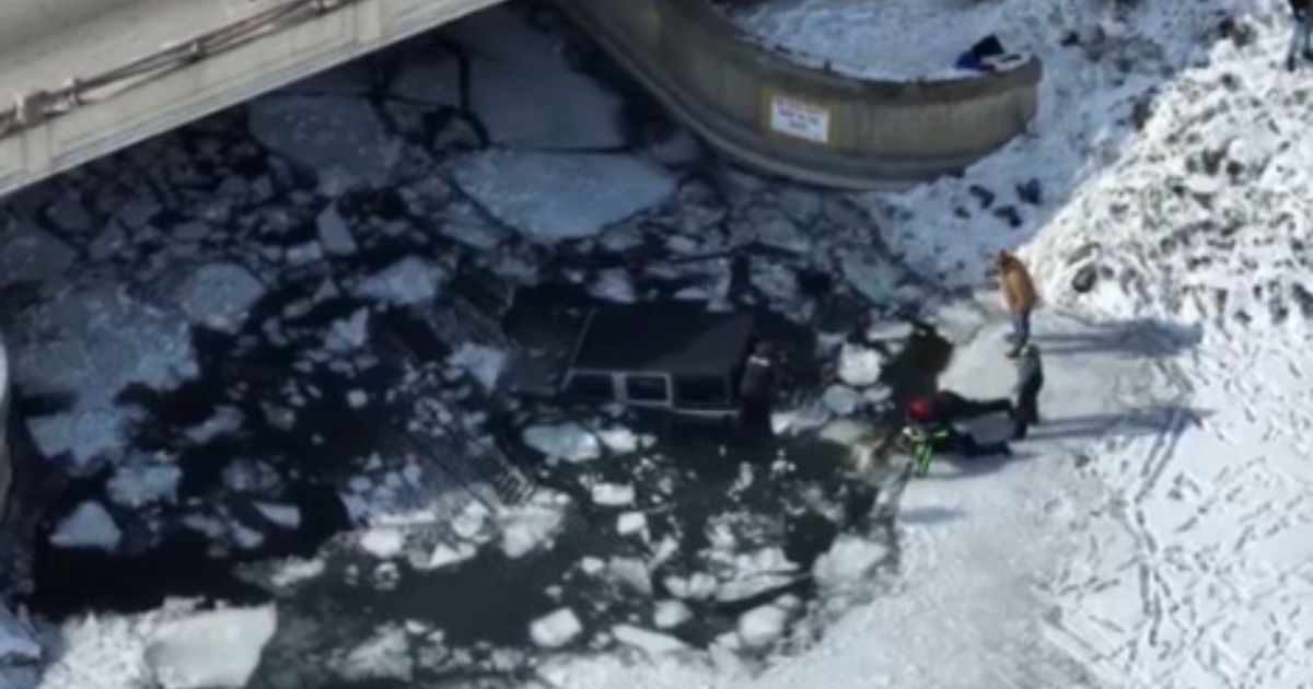 Hero Teen Saves Elderly Man And Dog After Car Plunges Into Icy Lake ...